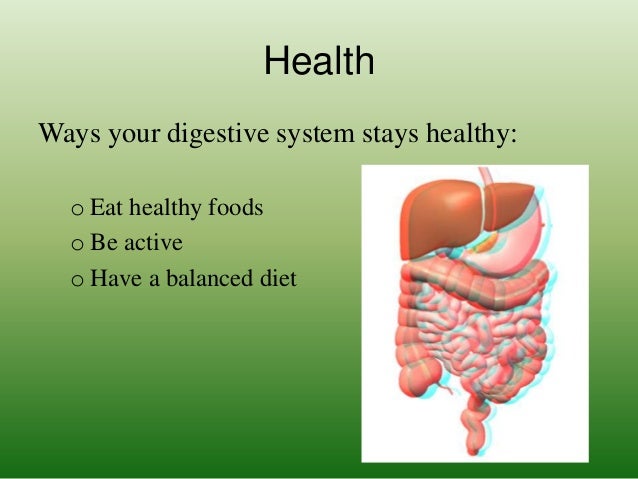 The digestive system p3