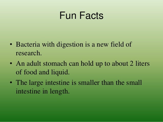 Excretory System Fun Facts For Kids Excretory System Fun Facts For Kids