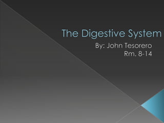 The Digestive System By: John Tesorero Rm. 8-14 