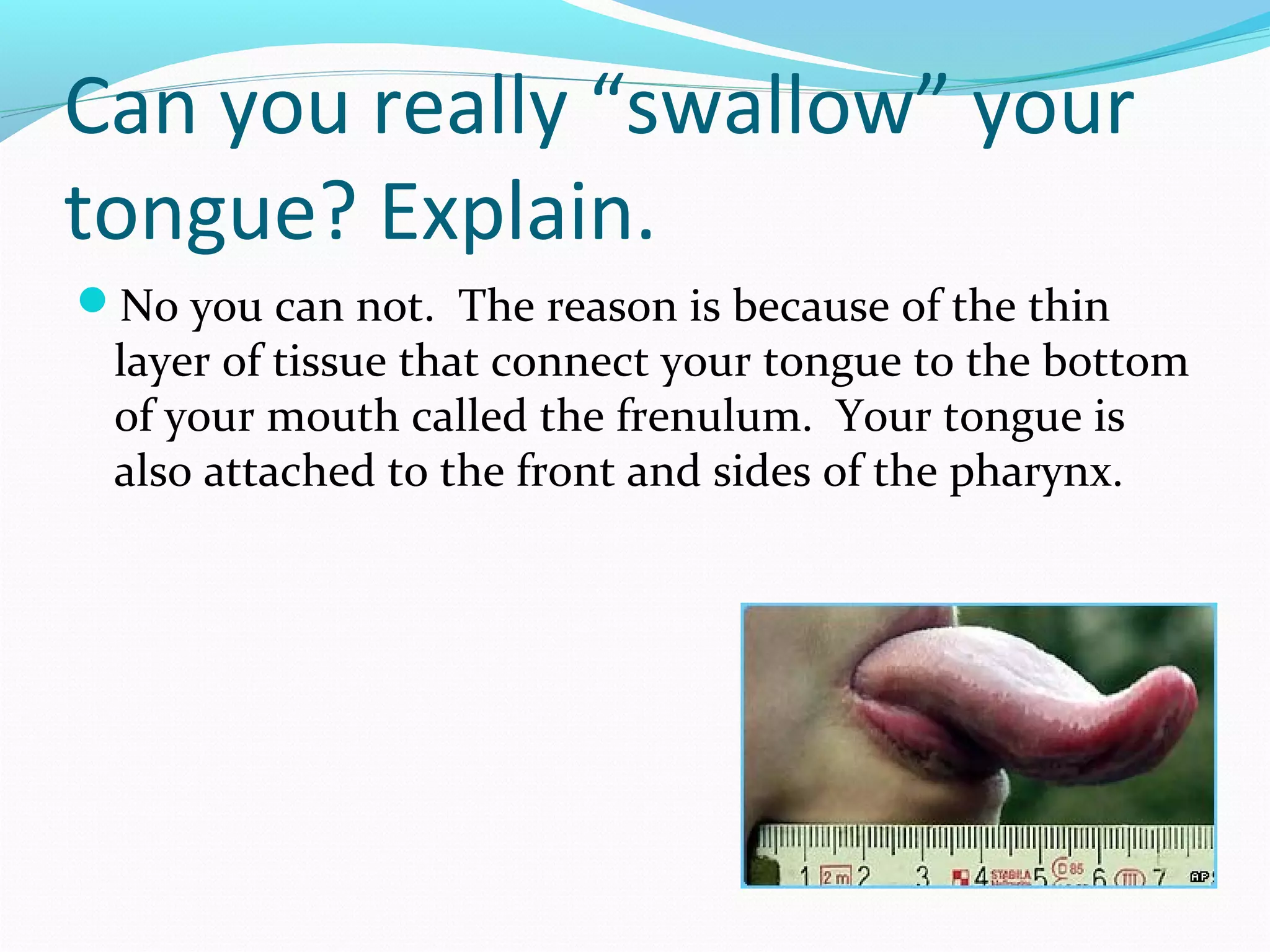 Can you really “swallow” your
tongue? Explain.
No you can not. The reason is because of the thin
layer of tissue that connect your tongue to the bottom
of your mouth called the frenulum. Your tongue is
also attached to the front and sides of the pharynx.
 
