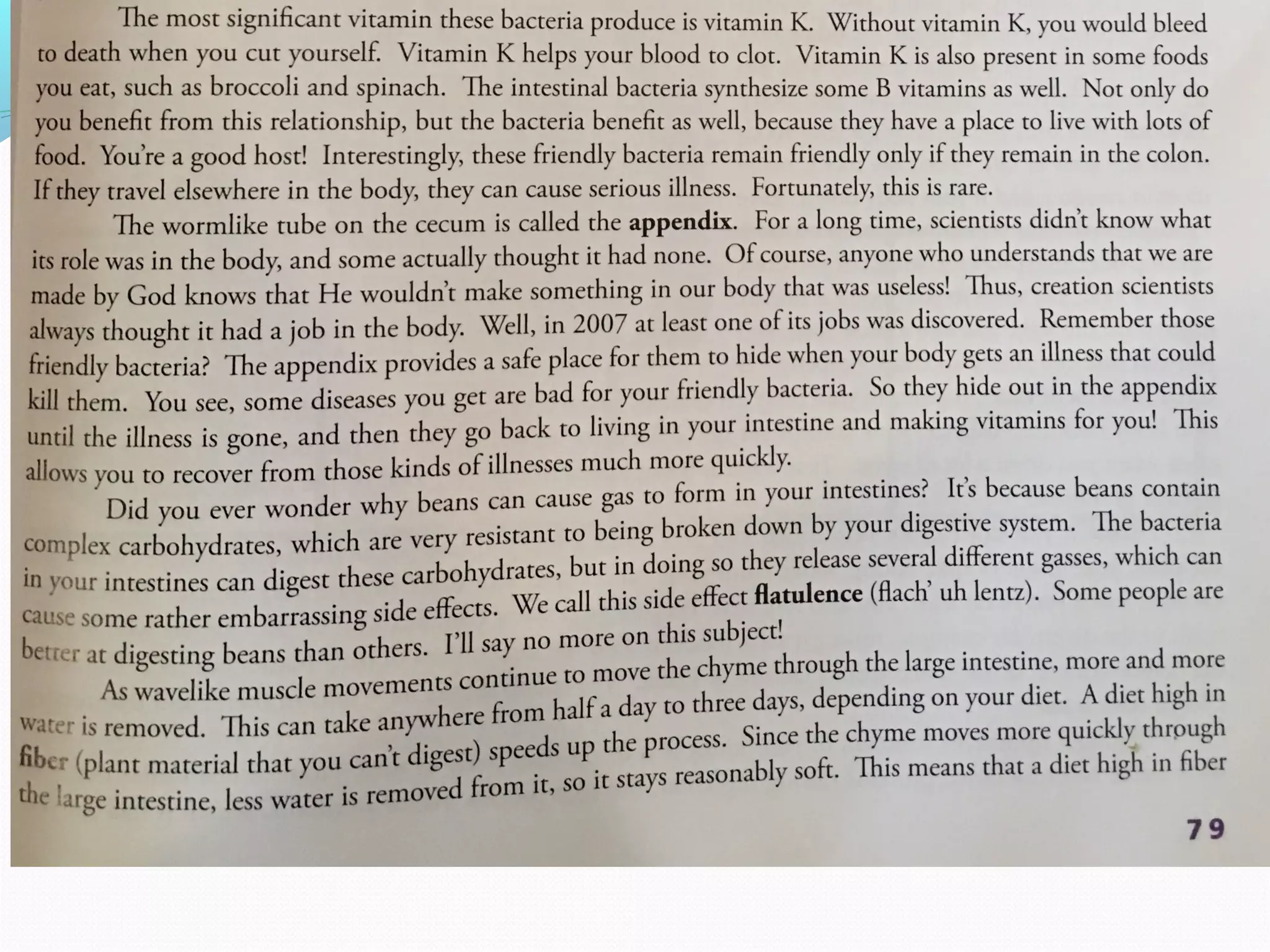 The digestive system ppt