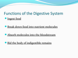 Introduction
There are four stages to
food processing:
1. Ingestion: taking in food
2.Digestion: breaking down
food into ...