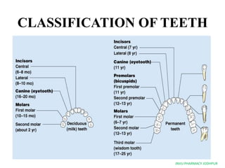The digestive system ppt | PPTX