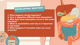 1. What happens during ingestion?
2. How is digestion different from absorption?
3. Why does most absorption occur in the small
intestine?
4. What is assimilation and why is it important
to the body?
5. What happens if excretion does not occur
properly?
DEVELOPING MASTERY
 