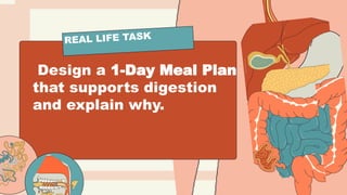 Design a 1-Day Meal Plan
that supports digestion
and explain why.
REAL LIFE TASK
 