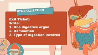 Exit Ticket:
Write:
1. One digestive organ
2. Its function
3. Type of digestion involved
GENERALIZATION
 