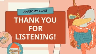THANK YOU
FOR
LISTENING!
ANATOMY CLASS
 