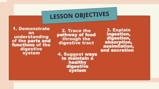 LESSON OBJECTIVES
1. Demonstrate
an
understanding
of the parts and
functions of the
digestive
system
2. Trace the
pathway of food
through the
digestive tract
3. Explain
ingestion,
digestion,
absorption,
assimilation,
and excretion
4. Suggest ways
to maintain a
healthy
digestive
system
 