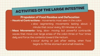 Haustral Activity The Digestive System Science Educational Presentation in Dark Orange ...