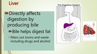 Liver
Directly affects
digestion by
producing bile
Bile helps digest fat
• filters out toxins and waste
including drugs and alcohol
 
