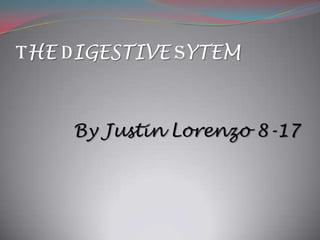 THE DIGESTIVE SYTEM By Justin Lorenzo 8-17 