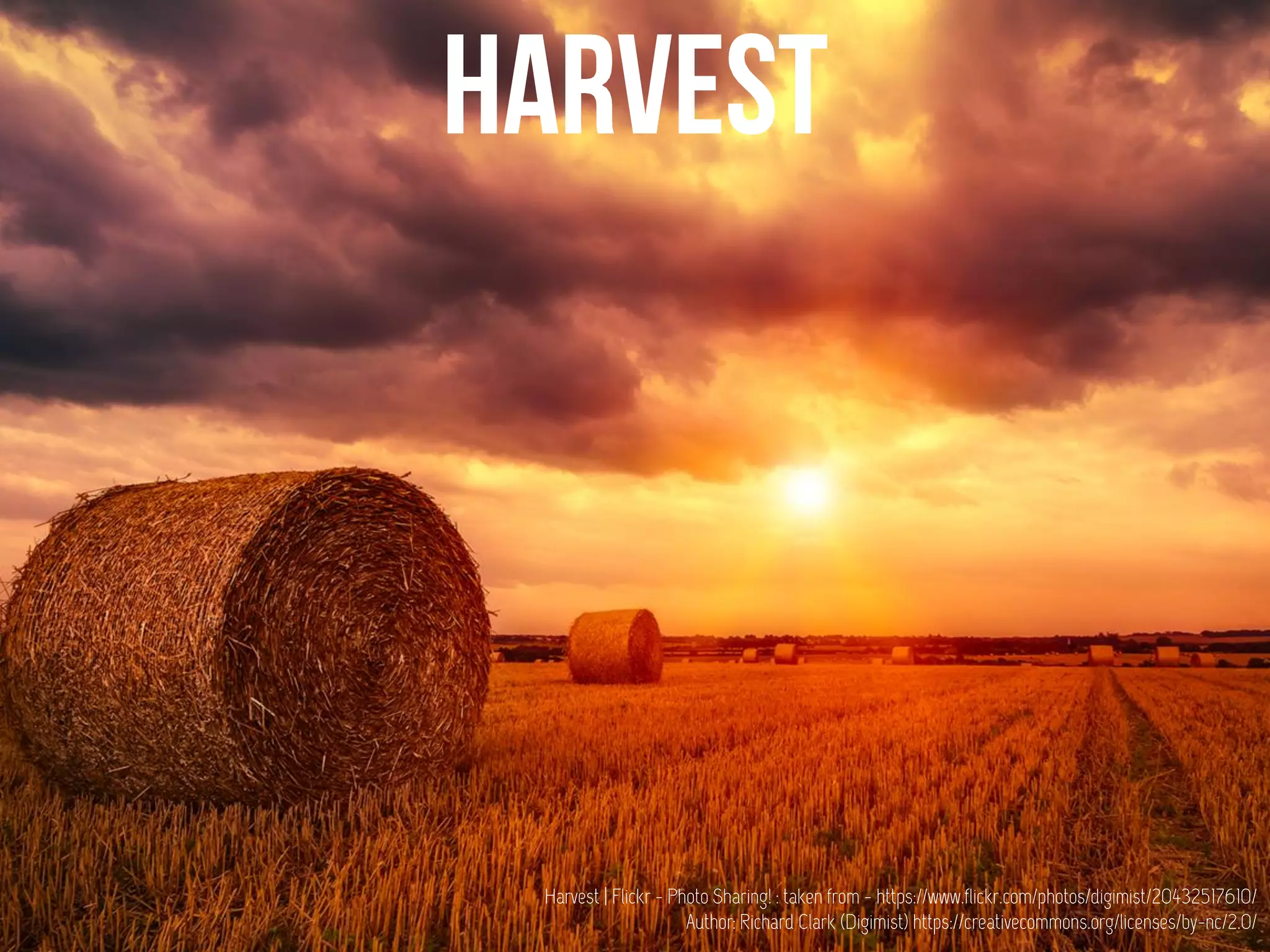 Harvest | Flickr - Photo Sharing! : taken from - https://www.flickr.com/photos/digimist/20432517610/
Author: Richard Clark (Digimist) https://creativecommons.org/licenses/by-nc/2.0/
 