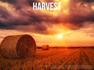Harvest | Flickr - Photo Sharing! : taken from - https://www.flickr.com/photos/digimist/20432517610/
Author: Richard Clark (Digimist) https://creativecommons.org/licenses/by-nc/2.0/
 