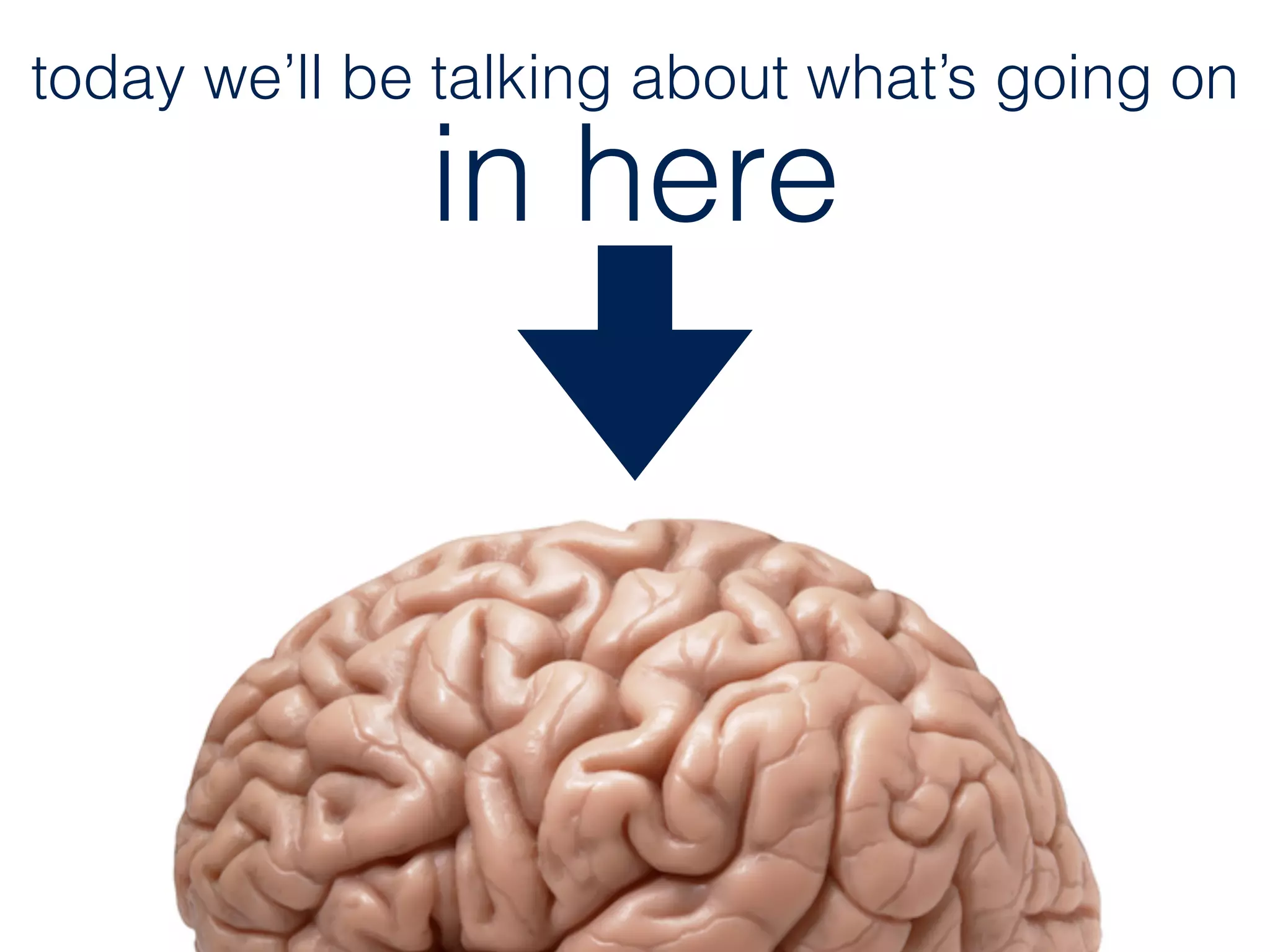 in here
today we’ll be talking about what’s going on
 