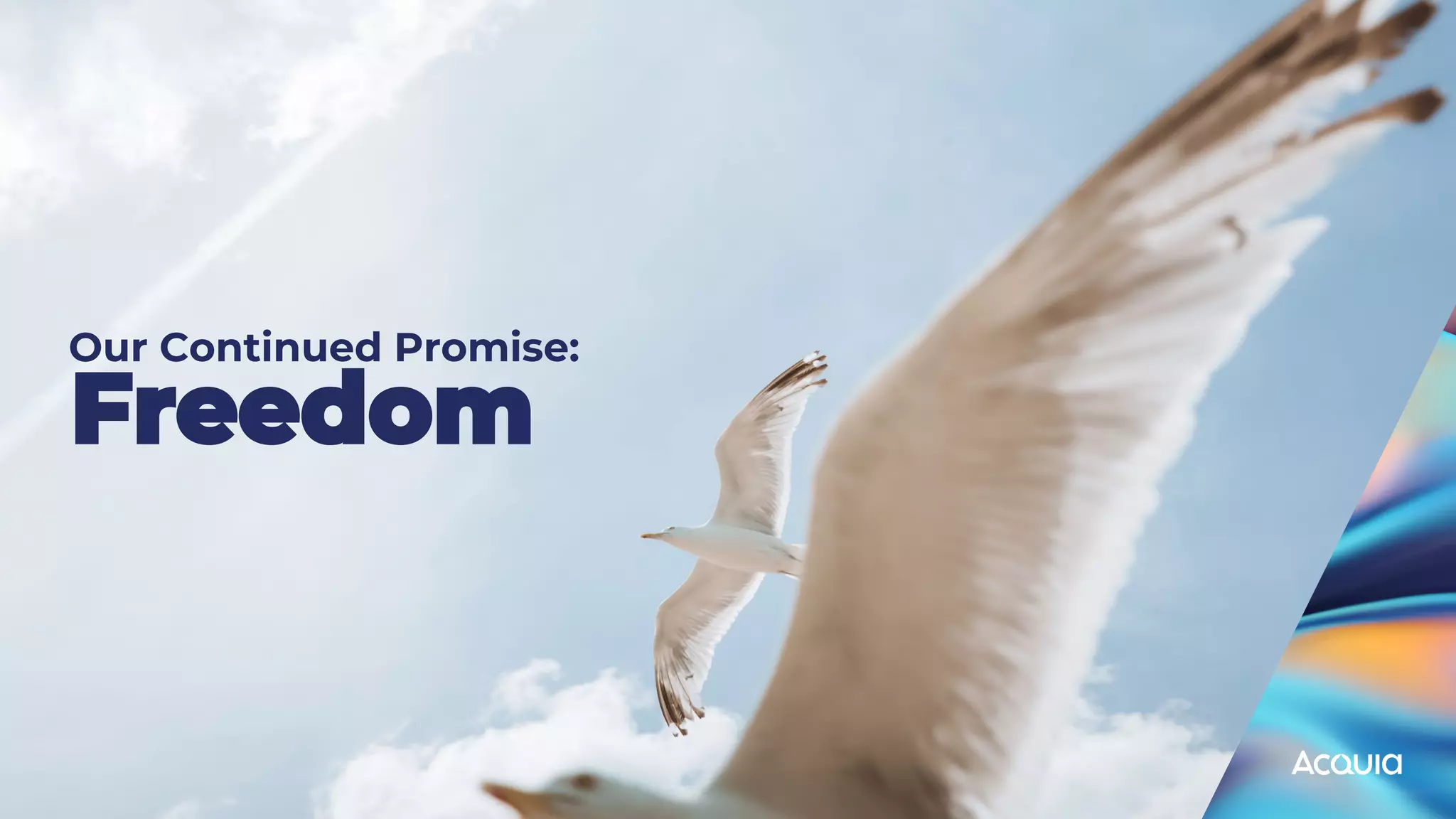 Our Continued Promise:
 