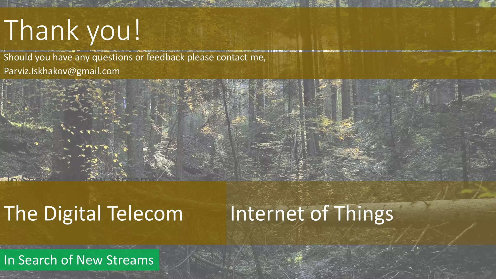 In Search of New Streams
Thank you!
Should you have any questions or feedback please contact me,
Parviz.Iskhakov@gmail.com
In Search of New Streams
The Digital Telecom Internet of Things
 