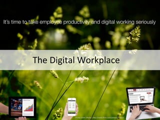 Building a more productive digital work environment 
– service by service 
The 
Digital 
Workplace 
Photo 
credit: 
Mabar, 
h7p://www.flickr.com/photos/mabar/ 
 