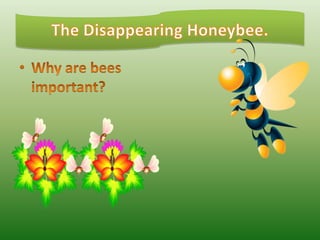 The Disappearing Honeybee