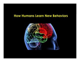 ©Covisioning www.outsmartyourbrain.com
How Humans
Learn
 