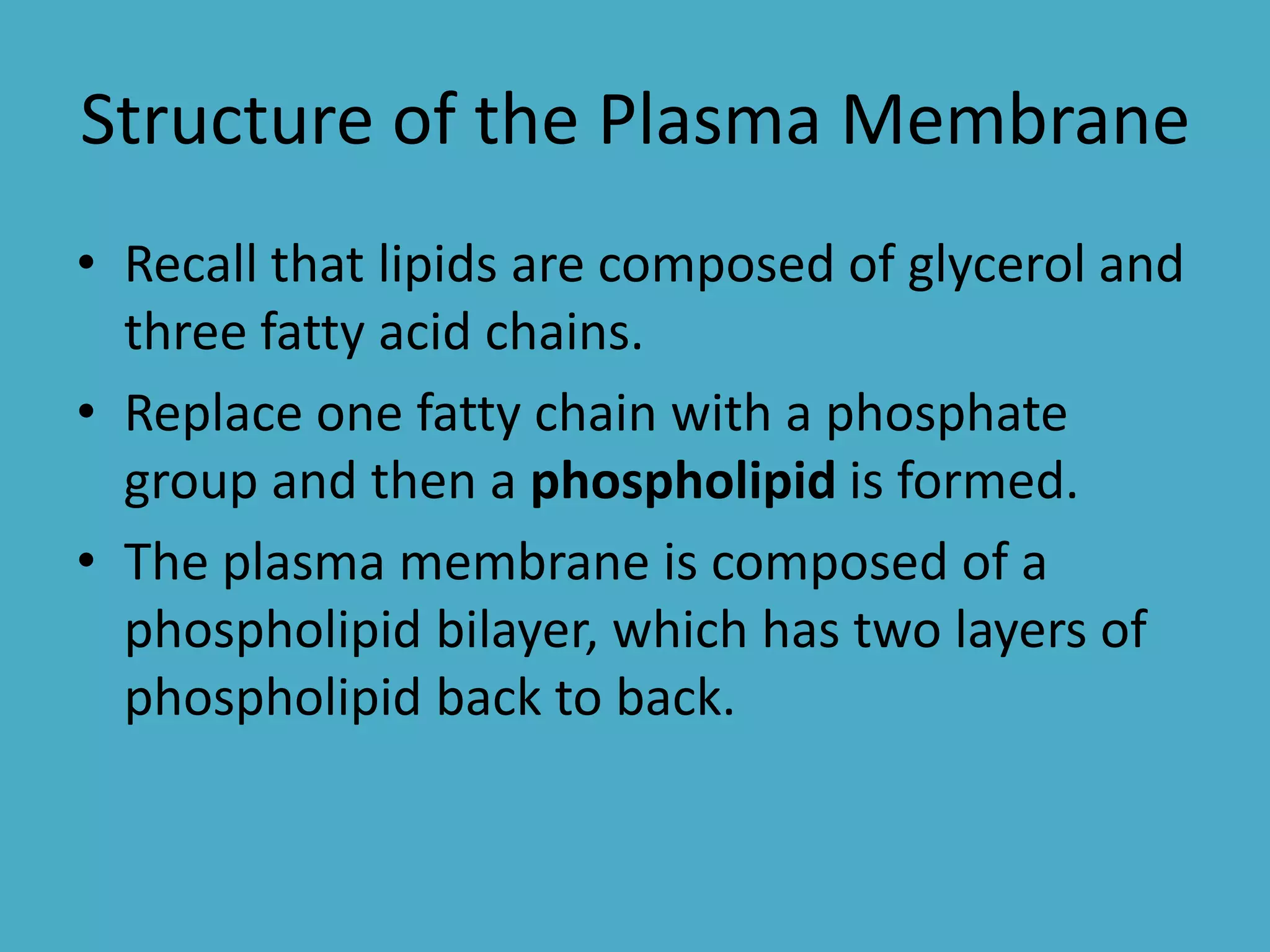 Structure of the Plasma Membrane
• Recall that lipids are composed of glycerol and
three fatty acid chains.
• Replace one fatty chain with a phosphate
group and then a phospholipid is formed.
• The plasma membrane is composed of a
phospholipid bilayer, which has two layers of
phospholipid back to back.

 