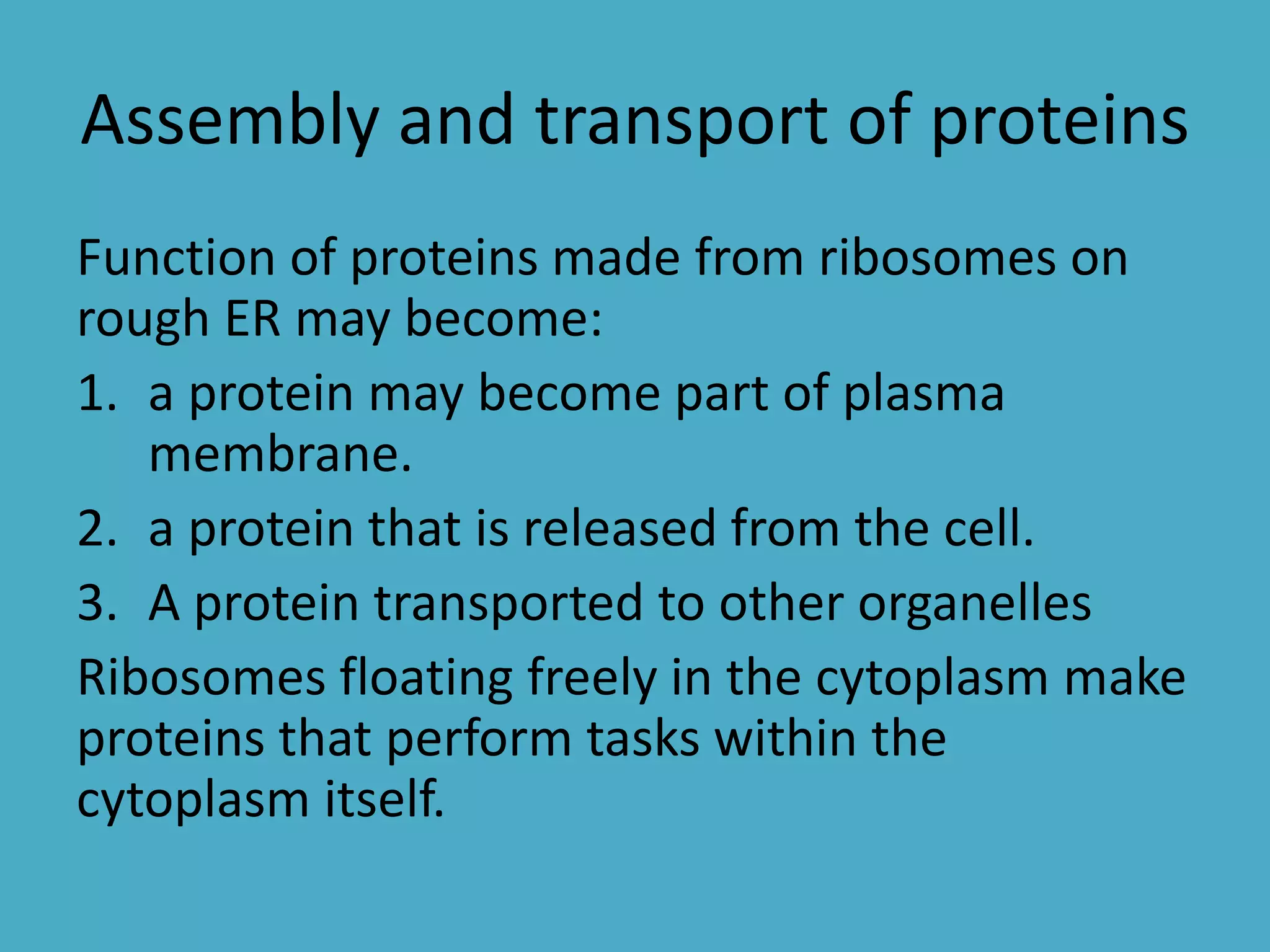 Assembly and transport of proteins
Function of proteins made from ribosomes on
rough ER may become:
1. a protein may become part of plasma
membrane.
2. a protein that is released from the cell.
3. A protein transported to other organelles
Ribosomes floating freely in the cytoplasm make
proteins that perform tasks within the
cytoplasm itself.

 