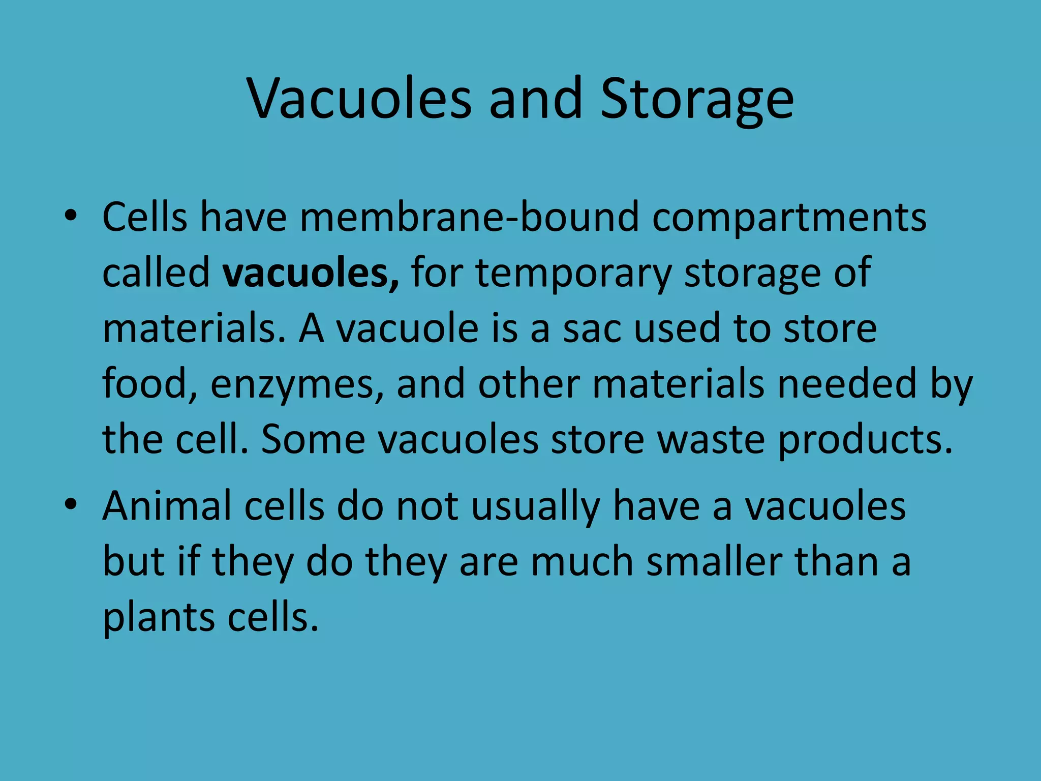 Vacuoles and Storage
• Cells have membrane-bound compartments
called vacuoles, for temporary storage of
materials. A vacuole is a sac used to store
food, enzymes, and other materials needed by
the cell. Some vacuoles store waste products.
• Animal cells do not usually have a vacuoles
but if they do they are much smaller than a
plants cells.

 