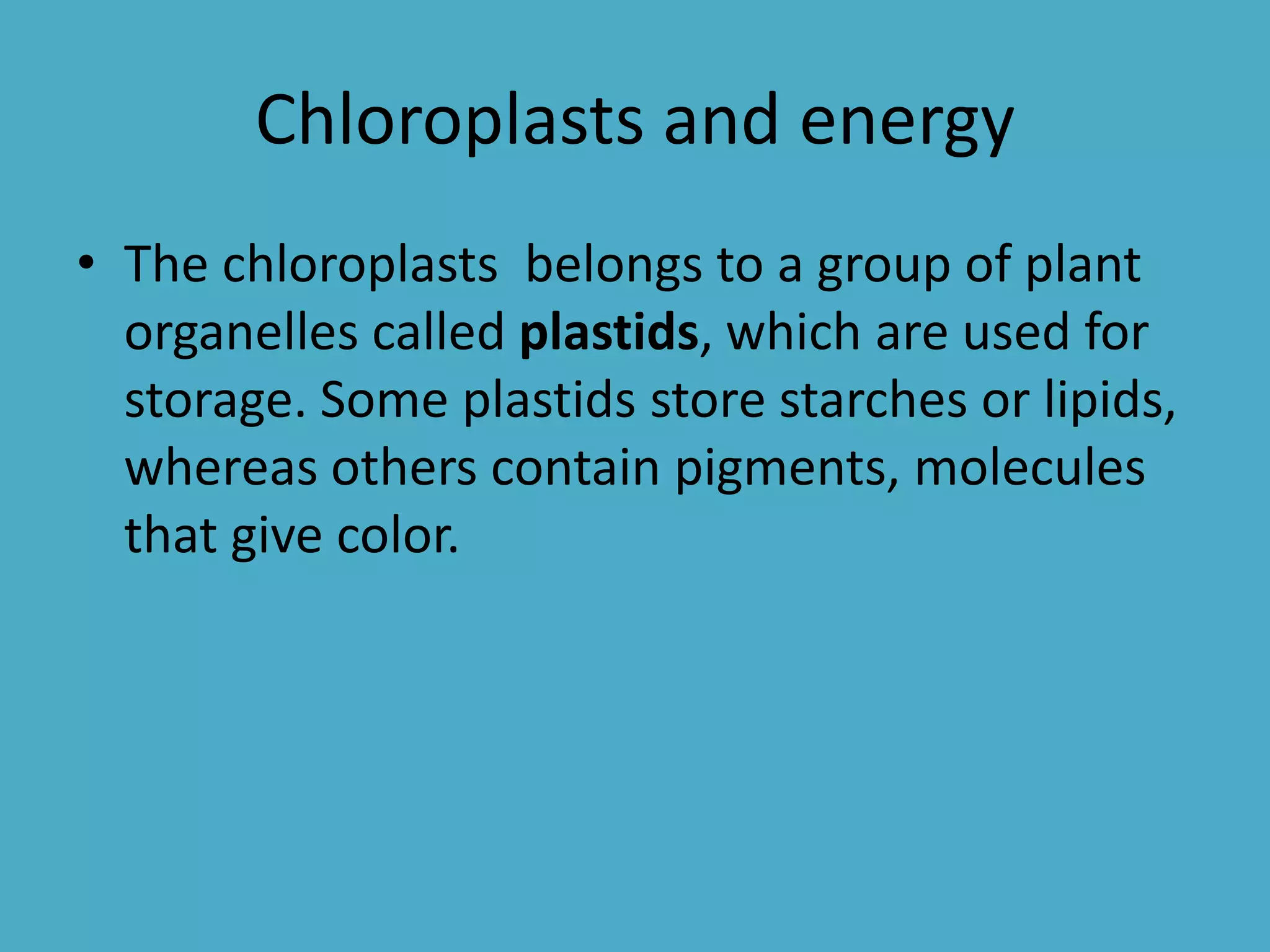 Chloroplasts and energy
• The chloroplasts belongs to a group of plant
organelles called plastids, which are used for
storage. Some plastids store starches or lipids,
whereas others contain pigments, molecules
that give color.

 