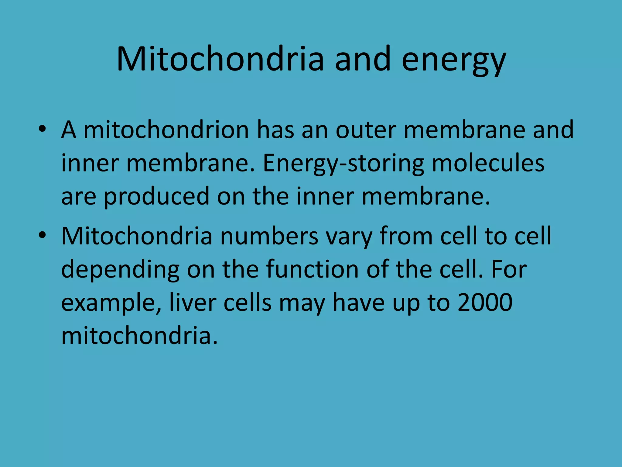 Mitochondria and energy
• A mitochondrion has an outer membrane and
inner membrane. Energy-storing molecules
are produced on the inner membrane.
• Mitochondria numbers vary from cell to cell
depending on the function of the cell. For
example, liver cells may have up to 2000
mitochondria.

 