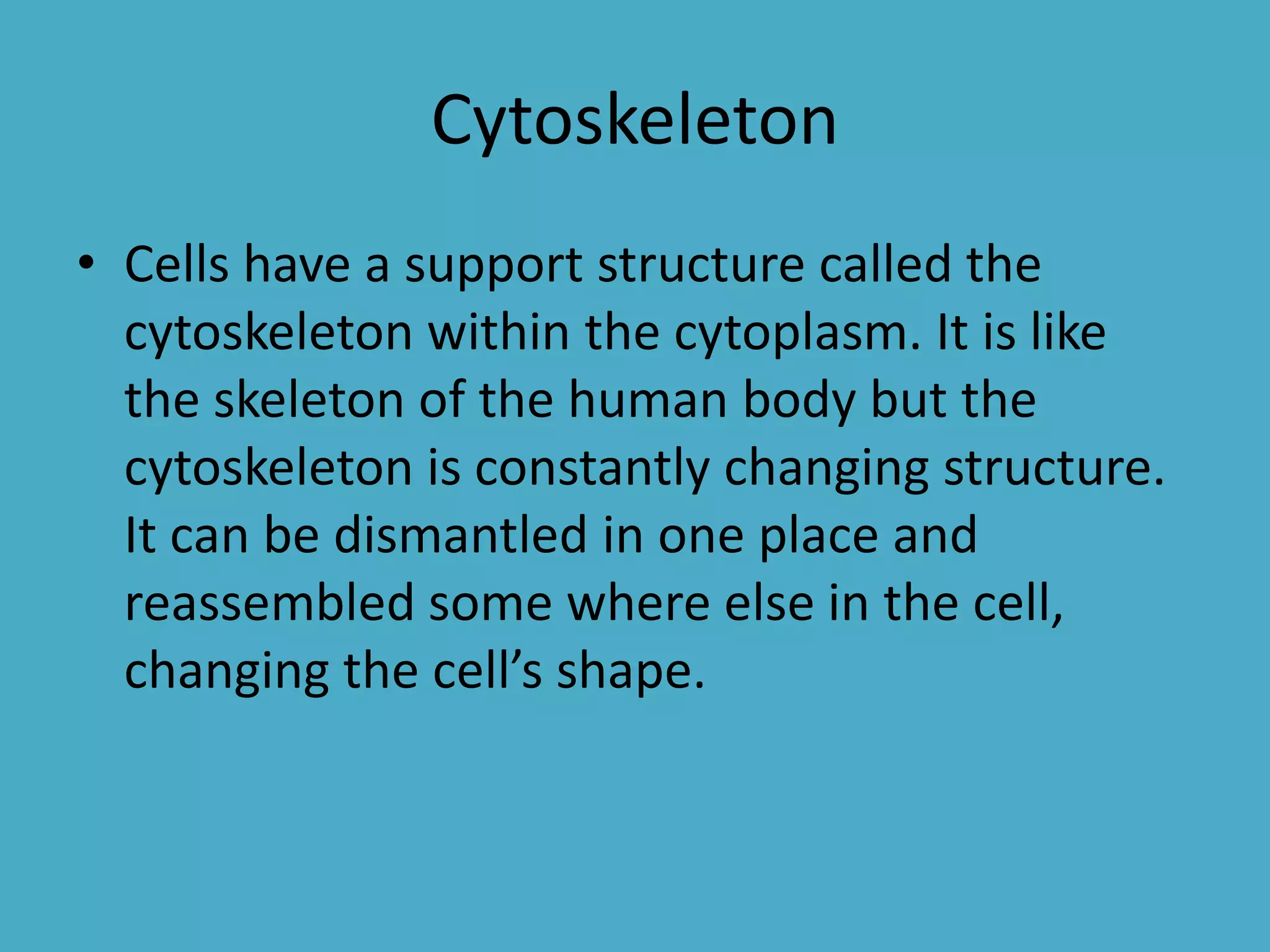Cytoskeleton
• Cells have a support structure called the
cytoskeleton within the cytoplasm. It is like
the skeleton of the human body but the
cytoskeleton is constantly changing structure.
It can be dismantled in one place and
reassembled some where else in the cell,
changing the cell’s shape.

 