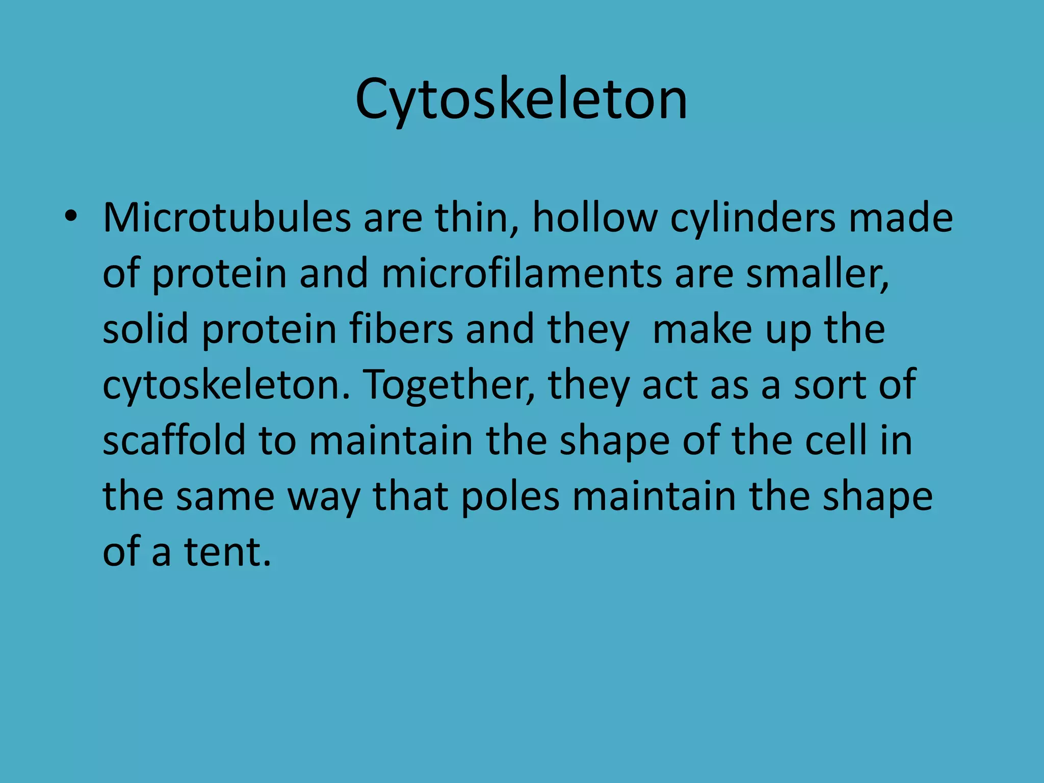 Cytoskeleton
• Microtubules are thin, hollow cylinders made
of protein and microfilaments are smaller,
solid protein fibers and they make up the
cytoskeleton. Together, they act as a sort of
scaffold to maintain the shape of the cell in
the same way that poles maintain the shape
of a tent.

 