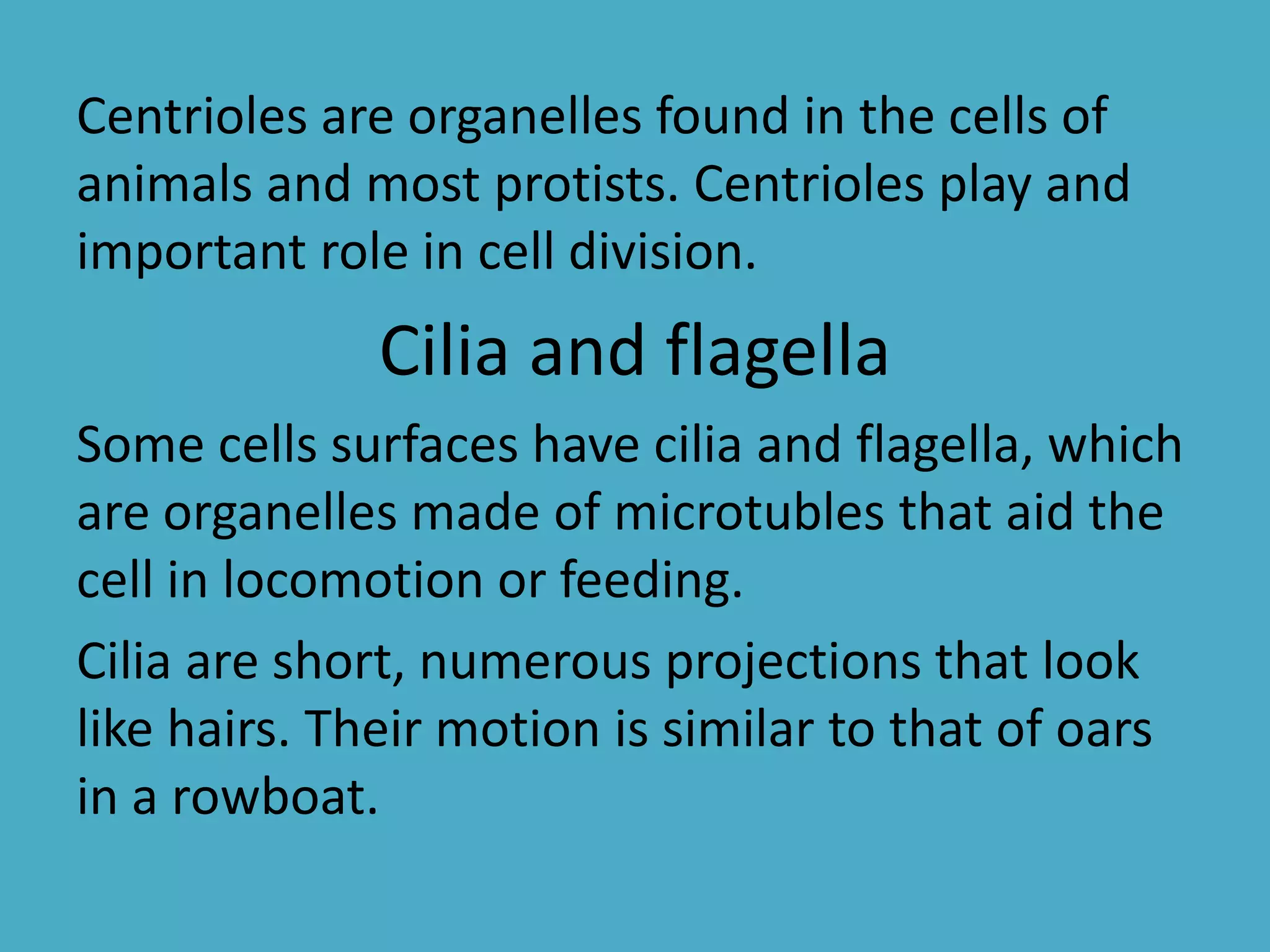 Centrioles are organelles found in the cells of
animals and most protists. Centrioles play and
important role in cell division.

Cilia and flagella
Some cells surfaces have cilia and flagella, which
are organelles made of microtubles that aid the
cell in locomotion or feeding.
Cilia are short, numerous projections that look
like hairs. Their motion is similar to that of oars
in a rowboat.

 