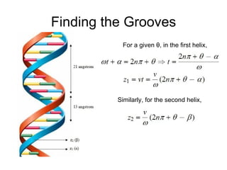 Finding the Grooves For a given  θ , in the first helix, Similarly, for the second helix, 
