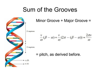Sum of the Grooves <ul><li>Minor Groove + Major Groove = </li></ul><ul><li>= pitch, as derived before. </li></ul>