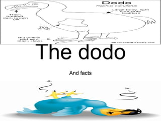 The dodo And facts 