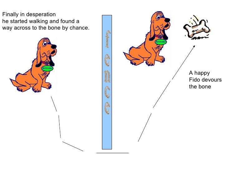 The dog and_the_bone