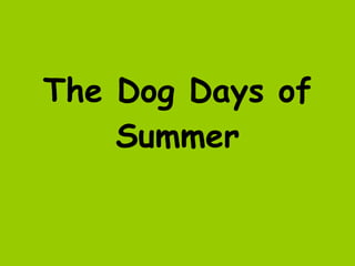 The Dog Days of Summer 