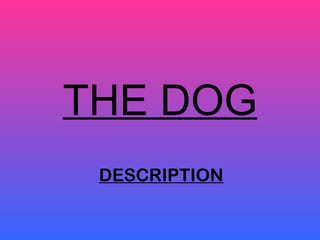 THE DOG DESCRIPTION 
