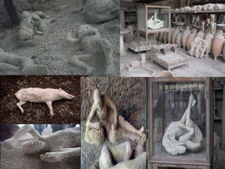 pompeii volcano dog
