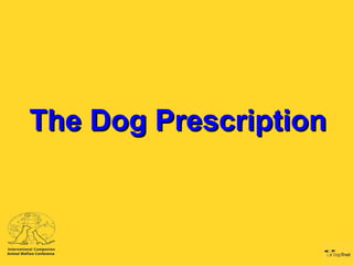 The Dog Prescription 