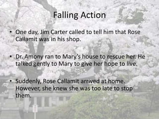 After that day, he visited mary for a few more times and learned a lot about Mary’s past.However, he still couldn’t figure out what made Mary sick and lost hope to live.