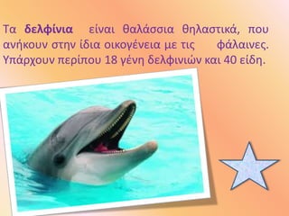 Τα δελφίνια είναι θαλάσσια θηλαστικά, που
ανήκουν στην ίδια οικογένεια με τις φάλαινες.
Υπάρχουν περίπου 18 γένη δελφινιών και 40 είδη.
 