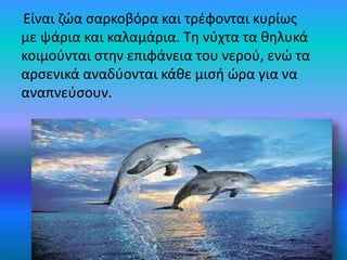 Είναι ζώα σαρκοβόρα και τρέφονται κυρίως
με ψάρια και καλαμάρια. Τη νύχτα τα θηλυκά
κοιμούνται στην επιφάνεια του νερού, ενώ τα
αρσενικά αναδύονται κάθε μισή ώρα για να
αναπνεύσουν.
 
