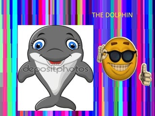 THE DOLPHIN
 