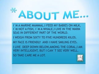 I´M A MARINE MAMMAL.I FEED MY BABIES ON MILK,
I´M NOT A FISH, I´M A WHALE,I LIVE IN THE WARM
SEAS IN DIFFERENT PART OF THE WORLD.
I WEIGH FROM SIXTY TO FIVE HUNDREDS KILOS.
MY FACE IS FRIENDLY AND I HAVE SMILING EYES.
I LIVE DEEP DOWN BELOW,AMONG THE CORAL,I AM
VERY INTELLIGENT, BUT I CAN´T SEE VERY WELL.
SO TAKE CARE ME A LOT.
 