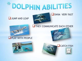  SWIM   VERY FAST
 JUMP AND LEAP

                   THEY COMMUNICATE EACH OTHER


 PLAY WITH PEOPLE

                                    CATCH FISH
 