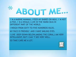 I´M A MARINE MAMMAL.I FEED MY BABIES ON MILK, I´M NOT
A FISH, I´M A WHALE,I LIVE IN THE WARM SEAS IN
DIFFERENT PART OF THE WORLD.
I WEIGH FROM SIXTY TO FIVE HUNDREDS KILOS.
MY FACE IS FRIENDLY AND I HAVE SMILING EYES.
I LIVE DEEP DOWN BELOW,AMONG THE CORAL,I AM VERY
INTELLIGENT, BUT I CAN´T SEE VERY WELL.
SO TAKE CARE ME A LOT.
 