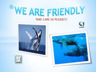 TAKE CARE US PLEASE!!!
 