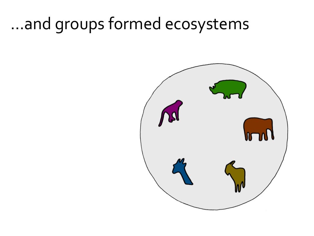 …and species formed groups