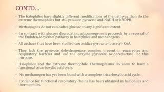 CONTD…
• The halophiles have slightly different modifications of the pathway than do the
extreme thermophiles but still produce pyruvate and NADH or NADPH.
• Methanogens do not catabolize glucose to any significant extent.
• In contrast with glucose degradation, gluconeogenesis proceeds by a reversal of
the Embden-Meyerhof pathway in halophiles and methanogens.
• All archaea that have been studied can oxidize pyruvate to acetyl- CoA.
• They lack the pyruvate dehydrogenase complex present in eucaryotes and
respiratory bacteria and use the enzyme pyruvate oxidoreductase for this
purpose.
• Halophiles and the extreme thermophile Thermoplasma do seem to have a
functional tricarboxylic acid cycle.
• No methanogen has yet been found with a complete tricarboxylic acid cycle.
• Evidence for functional respiratory chains has been obtained in halophiles and
thermophiles.
 