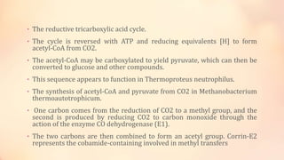 • The reductive tricarboxylic acid cycle.
• The cycle is reversed with ATP and reducing equivalents [H] to form
acetyl-CoA from CO2.
• The acetyl-CoA may be carboxylated to yield pyruvate, which can then be
converted to glucose and other compounds.
• This sequence appears to function in Thermoproteus neutrophilus.
• The synthesis of acetyl-CoA and pyruvate from CO2 in Methanobacterium
thermoautotrophicum.
• One carbon comes from the reduction of CO2 to a methyl group, and the
second is produced by reducing CO2 to carbon monoxide through the
action of the enzyme CO dehydrogenase (E1).
• The two carbons are then combined to form an acetyl group. Corrin-E2
represents the cobamide-containing involved in methyl transfers
 